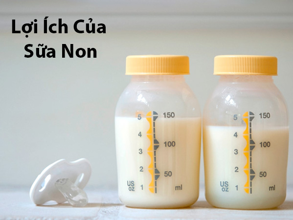 loi-ich-sua-non