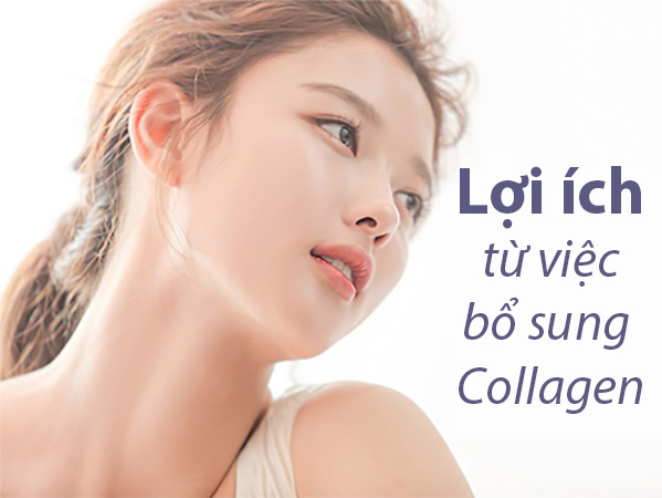 loi-ich-tu-collagen